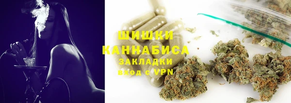 гидра Ветлуга